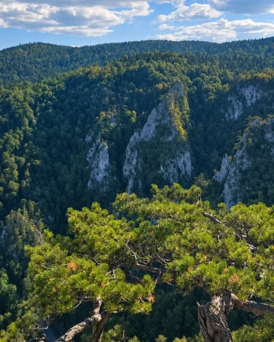 vidikovac solotuša